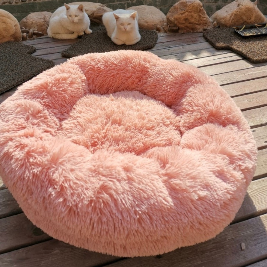 Feathery Bed