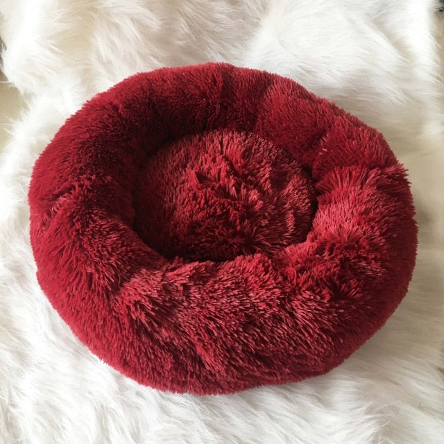 Feathery Bed